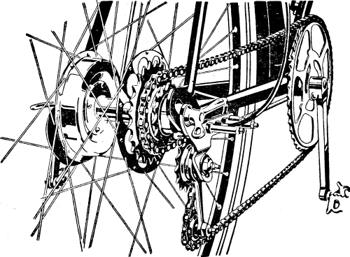 Trivelox transmission